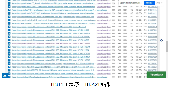 simgen-2×PCR Mix-植物/真菌DNA試劑盒-ITS14擴增序列 BLAST結果