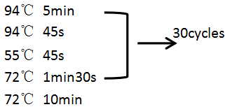 simgen-全血DNA小量試劑盒-反應(yīng)條件