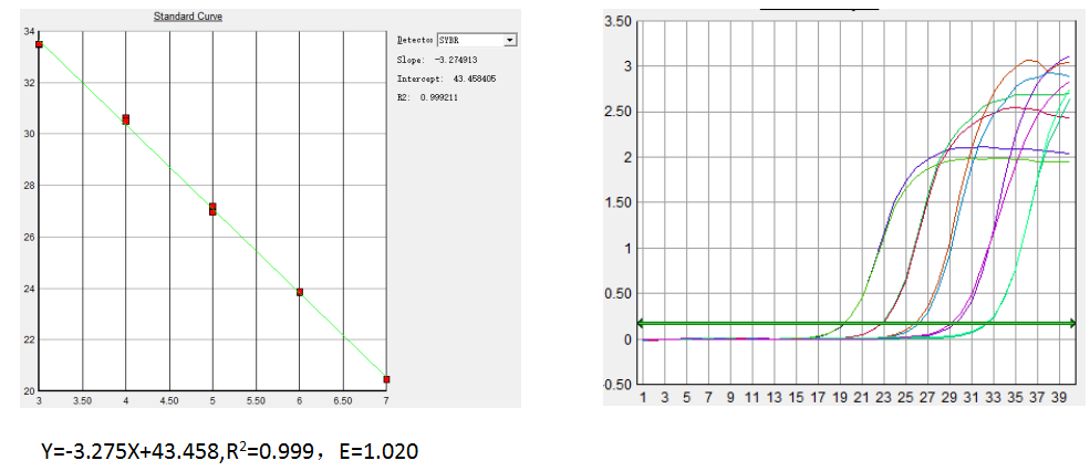 2×SYBR Green PCR Mix的標(biāo)準(zhǔn)曲線圖（圖1、圖2）