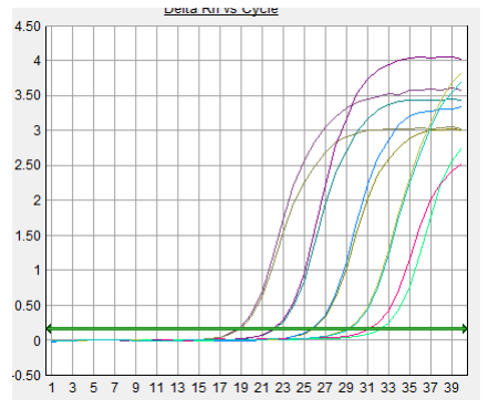 2×SYBR Green PCR Mix Ⅱ（7107100）標(biāo)準(zhǔn)曲線圖