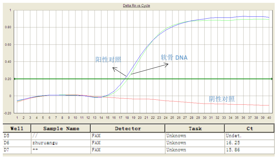 simgen-軟骨DNA純化試劑盒-熒光定量PCR豬源性檢測結(jié)果