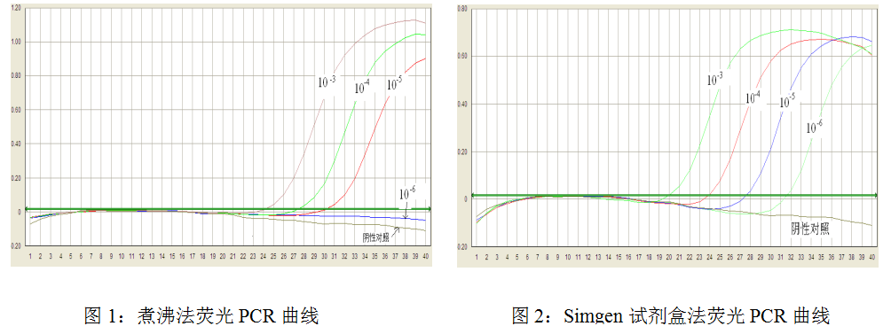 simgen-植物DNA試劑盒-煮沸法和口腔拭子DNA試劑盒法的熒光PCR曲線圖