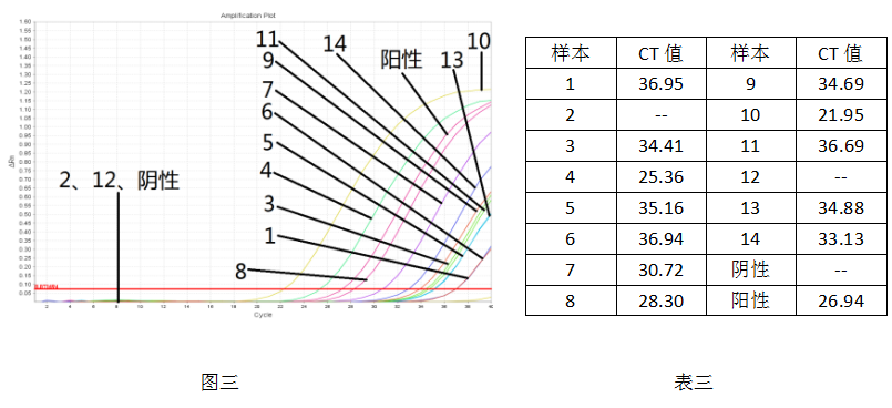 病毒核酸樣本保存液-病毒核酸純化試劑盒-2× One Step Probe RT-PCR Mix-實驗結果三