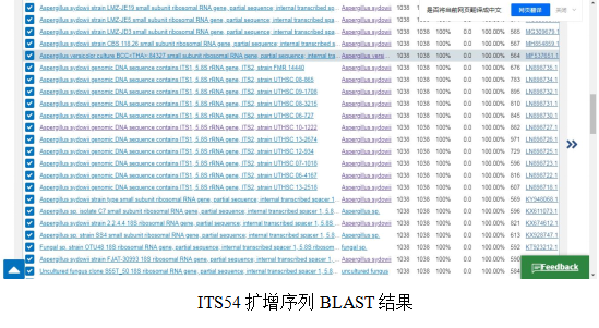 simgen-2×PCR Mix-植物/真菌DNA試劑盒-ITS54擴增序列 BLAST結果