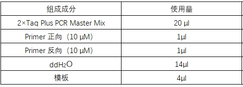 Simgen-快速DNA提取檢測(cè)試劑盒，2×Taq Plus PCR Master -配置PCR擴(kuò)增體系，加1/10體積模板進(jìn)行PCR擴(kuò)增