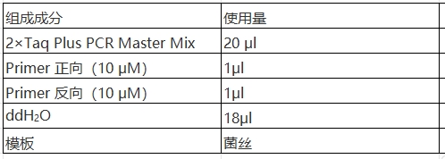 Simgen-快速DNA提取檢測(cè)試劑盒，2×Taq Plus PCR Master -配置PCR擴(kuò)增體系，將菌絲直接加入體系中進(jìn)行PCR擴(kuò)增